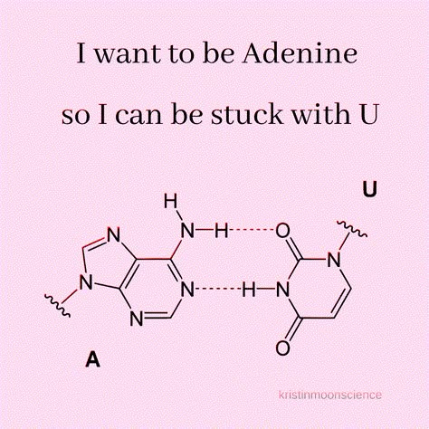 Science Love Puns, Medical Valentines Funny, Science Pickup Lines, Science Love Quotes, Science Valentines Cards, Nerd Love Quotes, Bio Lines, Biology Valentines, Biology Pick Up Lines