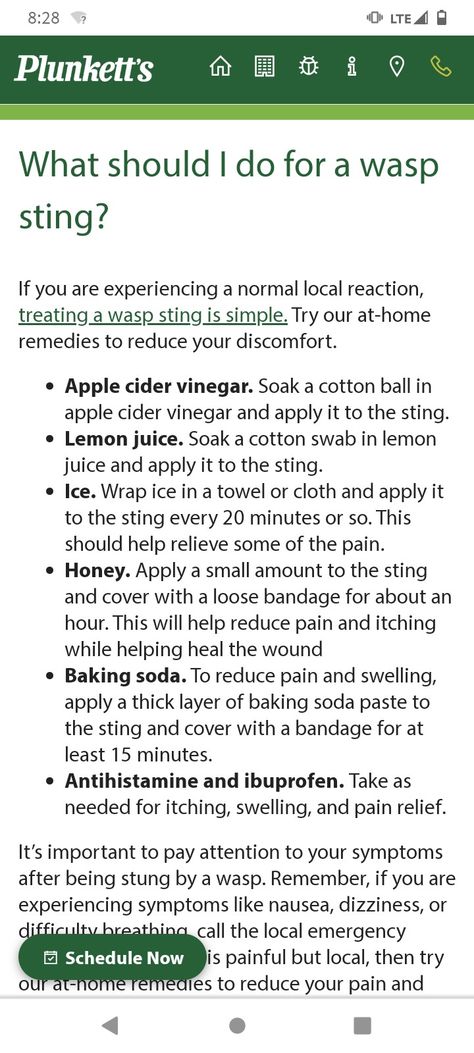 Wasp Sting Remedy, Wasp Sting, Wasp Stings, Bug Bites, Smart Things, Cotton Swab, Cotton Ball, Wasp, Things To Know