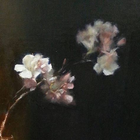 Timothy Rees Dark Photography, Pretty Art, Painting Inspiration, Aesthetic Art, My Aesthetic, Flower Painting, White Flowers, Still Life, Art Style