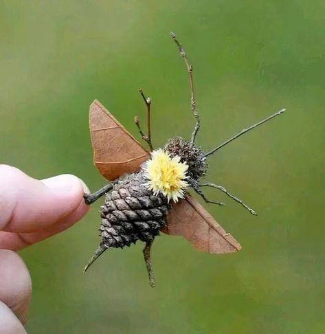 Pinecone Bee Craft, Easy Crafts For Pre K, Forest School Crafts, Landart Ideas, Forest School Ideas, Pinecone Art, Forest Crafts, Tre Kunst, Wood Bees