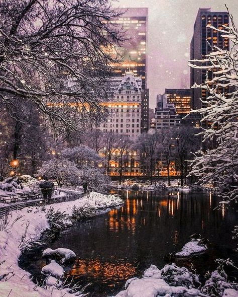 The Plaza Hotel on Instagram: "Let us light the way to New York's most elegant New Year's Eve soiree. Give 2023 a monumental welcome by attending our timeless celebration at The Palm Court. Preview the menu at our link in bio and reserve while tickets last. #LiveLikeThePlaza [📷: @_le_vent_dans_la_plaine]" Winter In New York, Lake George Village, City Christmas, Nyc Christmas, Central Park Nyc, New York Photos, Winter Scenery, Lake George, The Plaza