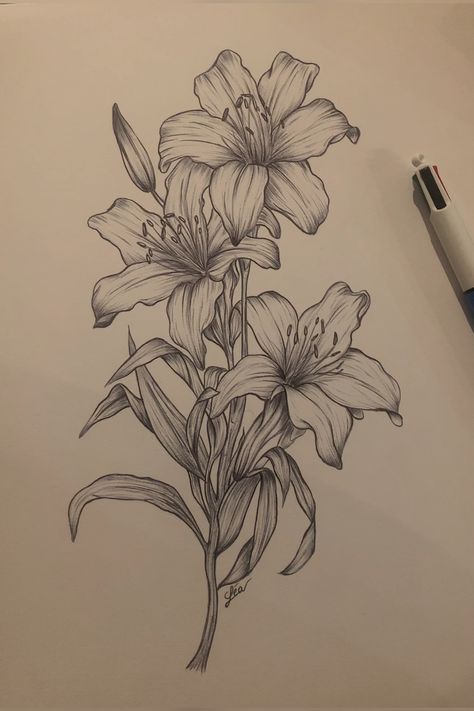 Pencil Art Drawings Creative, Pencil Drawings Of Flowers, 35 Years Old, Stippling Art, Arte Grunge, Coral Sea, Drawing Flowers, Ocean Floor, Meaningful Drawings