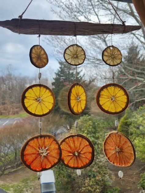 Rainbow Citrus Sun Catcher - Etsy Canada Xmas 2024, Dried Oranges, May 2024, Sun Catcher, Yule, Wall Hangings, Wall Hanging, United States, Rainbow