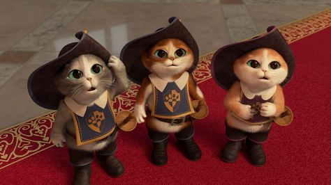 Modern Talking, Cute Little Kittens, Cute Kitten Gif, Three Cats, Kitten Gif, Little Kittens, Grumpy Cat, Shrek, Animated Movies