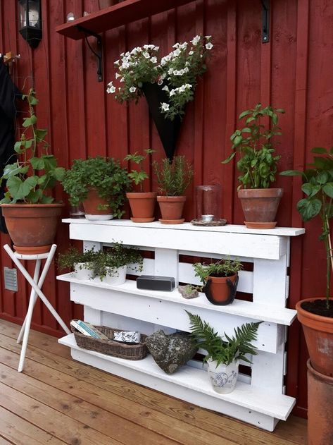 Lastpall Ideas, Making Raised Garden Beds, Balcony Ideas Apartment Privacy Screens, Balcony Ideas Apartment Privacy, Balcony Ideas Apartment Christmas, Fish Pond Gardens, Apartment Privacy, Pallet Garden Furniture, Succulent Garden Design