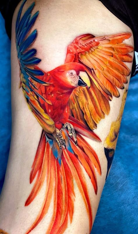 Scarlet Macaw Tattoo, Parrot Tattoo Design, Macaw Tattoo, Quetzal Tattoo, Colorful Bird Tattoos, Taino Tattoos, Bird Tattoo Sleeves, Jungle Tattoo, Parrot Tattoo