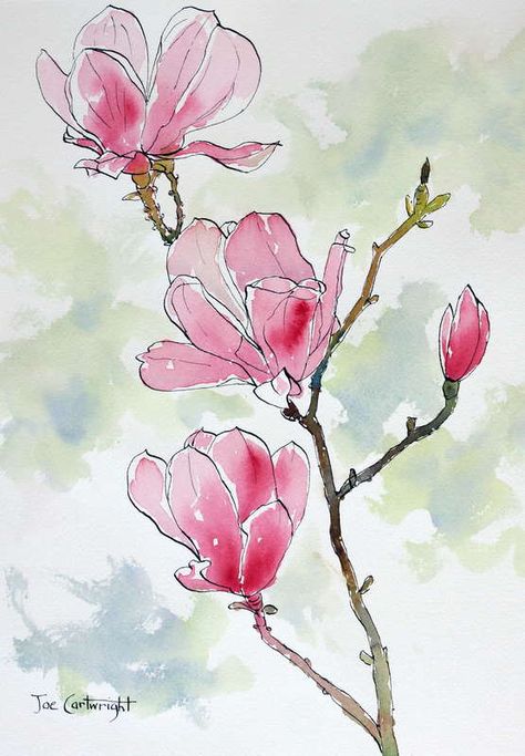 I have just posted, on my PenAndInkTechniques website, a demonstration of pen and wash drawing / painting of a Pink Magnolia. Watercolor Sketching, Sport Aesthetic, Workwear Chic, Pen And Wash, Couple Drawing, Flowers Tutorial, Rose Tutorial, Cat Air, Ink Watercolor