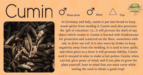 Cumin Witchcraft, Cumin Magical Properties, Herb Pantry, Medical Herbs, Wiccan Magic, Kitchen Witchery, Magic Herbs, Wood Spirit, Eclectic Witch