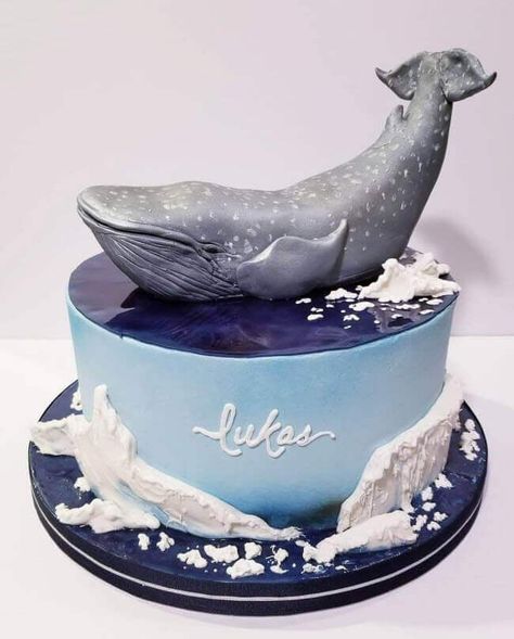 20 Blue Whale Cake Design (Cake Idea) - March 2020 Whale Birthday Cake, Cake By The Ocean, Whale Cakes, Red Birthday Cakes, Ocean Cakes, Gravity Defying Cake, Sea Cakes, Animal Cakes, Fish Cake