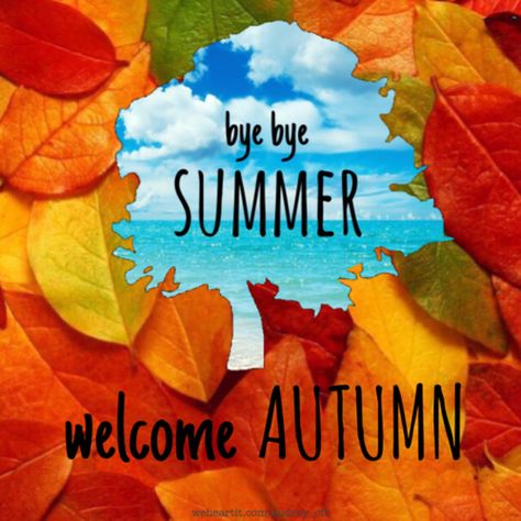 10 Welcome Fall Quotes Neuer Monat, First Day Of Autumn, Welcome Autumn, Autumnal Equinox, Goodbye Summer, Days And Months, Autumn Quotes, Welcome Fall, Summer Quotes