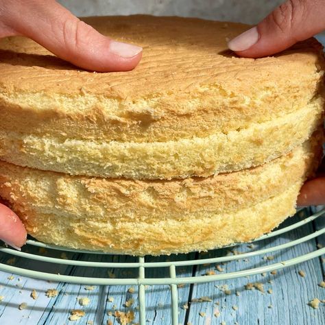 The BEST Sponge Cake - so soft & moist! (with VIDEO) - Scientifically Sweet Best Sponge Cake Recipe, Scientifically Sweet, Cake Sponge, Frosted Cupcakes, Food Desert, Swiss Roll Cake, Cotton Cake, Cake 5, Egg Protein