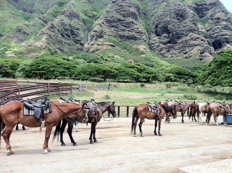 Kualoa Ranch in Ka‘a‘awa, HI Jungle Expedition, Wave Barrel, Surfing Hawaii, Girl Surfing, Swimming Party, Kualoa Ranch, Waves Photos, Hawaii Oahu, Western Life