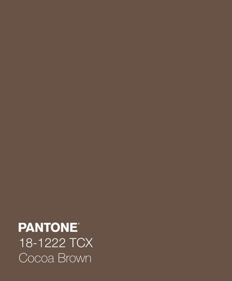 Brown Color Swatch, Brown Swatch, Pantone Brown, Brown Widget, Brown Pantone, Soft Summer Palette, Pantone Color Chart, Mocha Mousse, Agency Branding