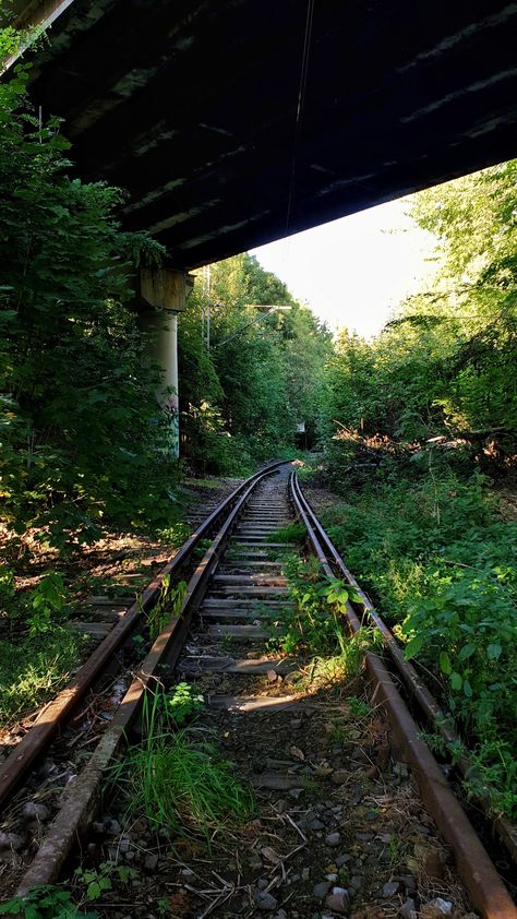 Apocalypse Landscape, Dystopian Aesthetic, Abandoned City, Abandoned Place, Apocalypse World, Apocalypse Aesthetic, Abandoned Train, Cursed Child, Abandoned Buildings