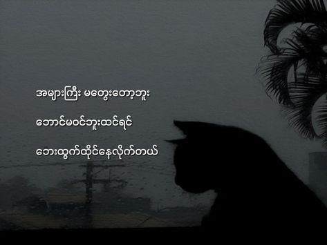 #Ronnie_Jame Myanmar Quotes Feel, Myanmar Letter, Feel စာသား, Aesthetic Ig Filter Selfie, Bus Skin, Facebook Cover Photos Love, Anime Pregnant, Profile Dark, Myanmar Quotes