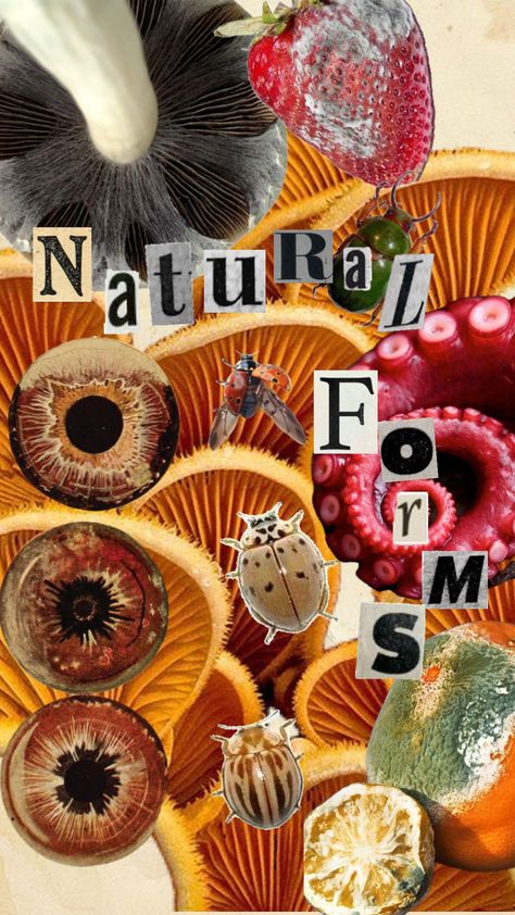 Natural forms title page #artgcse #bugs #artcollage Creative Title Page Design, Natural Forms Title Page, Natural Forms Gcse, Sketchbook Ideas Inspiration, Photography Sketchbook, Natural Form Art, Book Presentation, A Level Art Sketchbook, Organic Structure