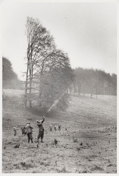 Pheasant Shooting, Upland Hunting, Oxfordshire England, Blenheim Palace, Pheasant Hunting, British Country, Tall Trees, Hunting Season, Rural Life