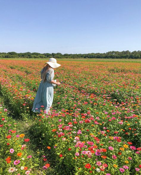 Zinnia Field, Flower Picking, Picking Flowers, Flower Picks, Landscape Photography Nature, North And South America, In Season Produce, Flower Farm, Summer Garden