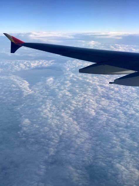 Asiana airlines. Airbus A380 over Korea. Asiana Airlines, Airbus A380, Airlines, Airplane View