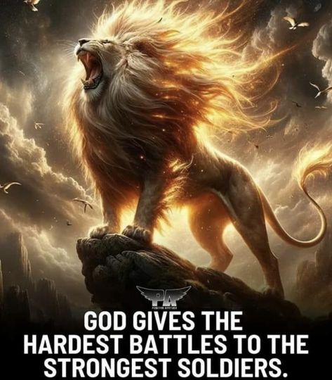 Lion Of Judah Quotes, Lion Bible Verse, Inspirational Friend Quotes, Lion Of Judah Jesus, Gods Plan Quotes, Faith Quotes Inspirational, Wild Animal Wallpaper, Lion Quotes, Bible Verse Background