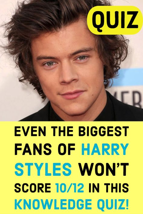 Facts About Harry Styles, Do You Know Who You Are Harry Styles, One Direction Quizzes, One Direction Buzzfeed Quizzes, Harry Styles Buzz Cut, Harry Styles Boyfriend Material, Harry Styles With Fans, Harry Styles Quiz, Long Hair Harry Styles