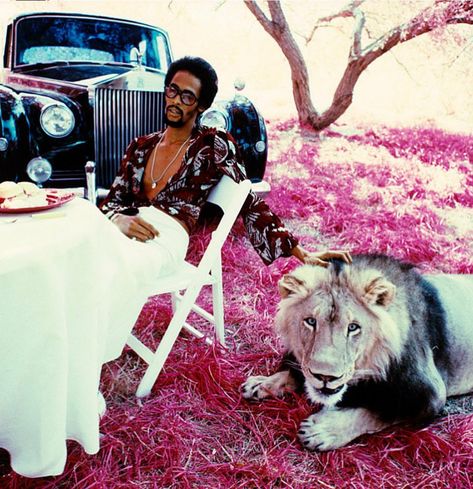 David Ruffin Temptations, 90s Black Culture Aesthetic, David Ruffin, D Wade, Vintage Black Glamour, Film Archive, Dont Look Back, Indigenous Art