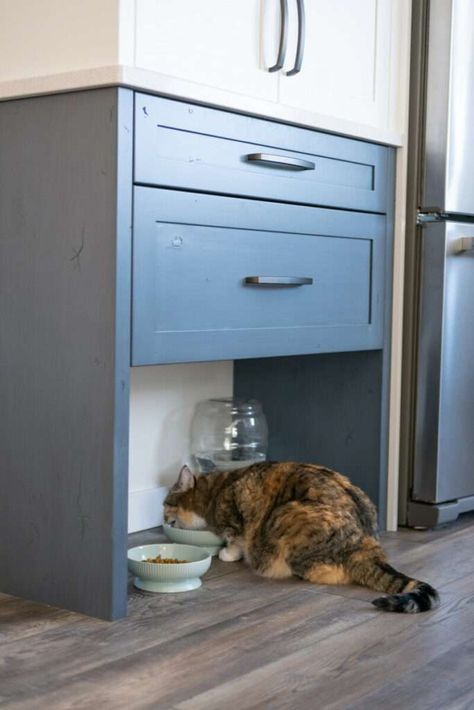 20 Blue-tiful Traditional Ideas for Blue Kitchen Cabinets - decorcabinets.com Entrance Renovation, Pet Food Station, Cat Food Station, Diy Cat Food, Kitchen Dining Nook, Cat Feeding Station, Cat Furniture Design, Pet Station, Pet Feeding Station