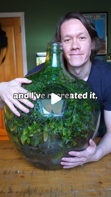 Ben Newell on Instagram: "I recreated the most famous terrarium in the world 🌎

I also wrote a book and if you want to learn how to make terrariums then you can preorder it right now ⬆️

#terrarium" Terrarium Science Project, Diy Closed Terrarium, How To Make A Terrarium, Closed Terrarium Ideas Diy, Closed Terrarium Ideas, Terrarium Aesthetic, Glass Terrarium Ideas, Terrarium Layers, Making A Terrarium