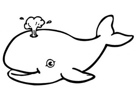 Blue Whale Coloring Pages Down By The Bay, Zoo Animal Coloring Pages, Whale Coloring Pages, Rabbit Pictures, Shark Coloring Pages, Farm Animal Coloring Pages, Baby Fish, Cute Whales, A Whale