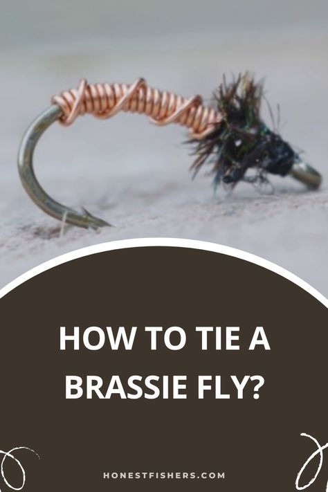 How To Tie A Brassie Fly Fishing For Beginners, Fly Patterns, Beginner Books, Fly Box, One Fish, Lake Fishing, Fishing Game, Fishing Life, Fishing Tools