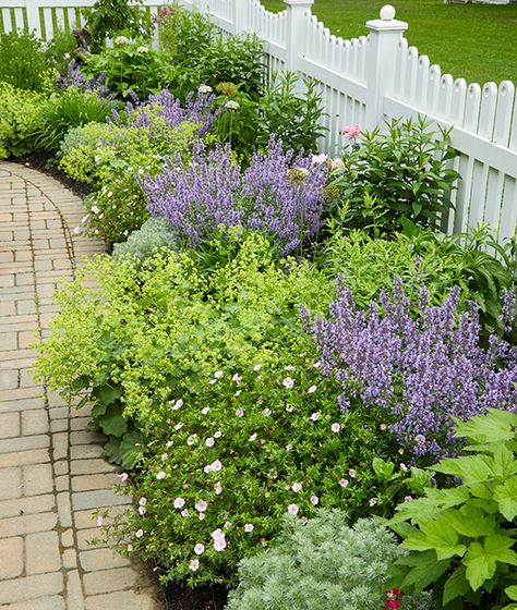 Cottage Garden Side Of House, Cozy Cottage Exterior Garden, Picket Fence Planting, English Country Front Garden, Along Fence Garden, Romantic Front Yard Landscaping, Simple Pretty Garden Ideas, Flowers By Front Door Entrance, Landscaping Cottage Front Yard