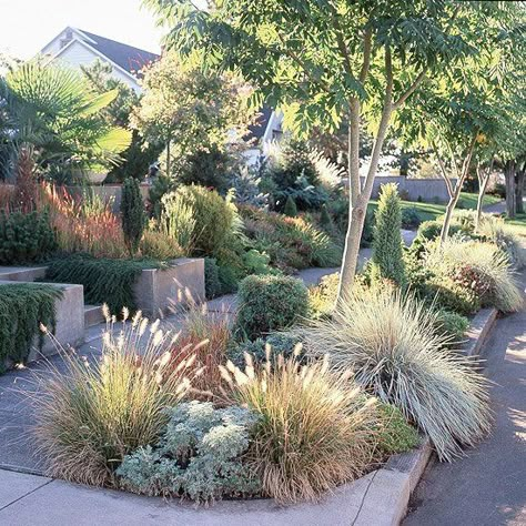 Gardening Beds, Taman Air, Australian Native Garden, Modern Front Yard, Drought Tolerant Garden, Drought Tolerant Landscape, Front Yard Design, Grasses Landscaping, Australian Garden