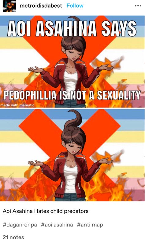 Pro Shipper Art, Invalid Flags, Pro Shipper, Asexual Humor, Anti Flag, Danganronpa Funny, Danganronpa Memes, Trigger Happy Havoc, Trigger Happy