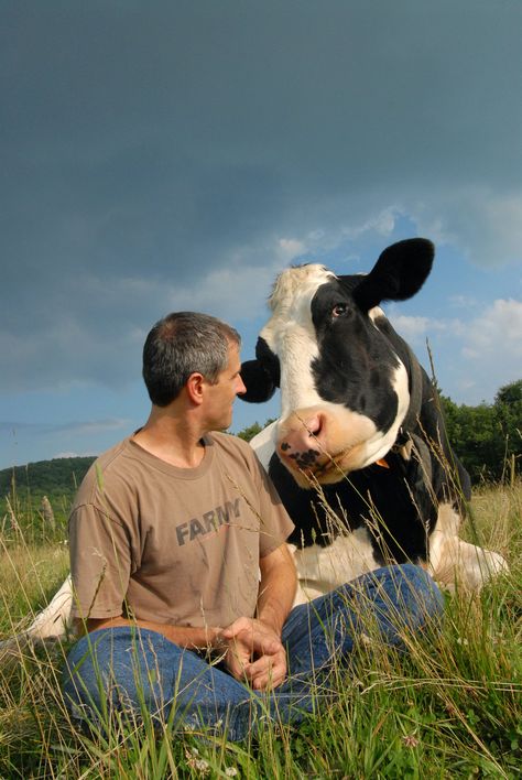 Farm Sanctuary, Animal Sanctuary, Cute Cows, Animal Rights, Animals Friends, Animal Kingdom, Farm Animals, Animals Beautiful, Animal Rescue