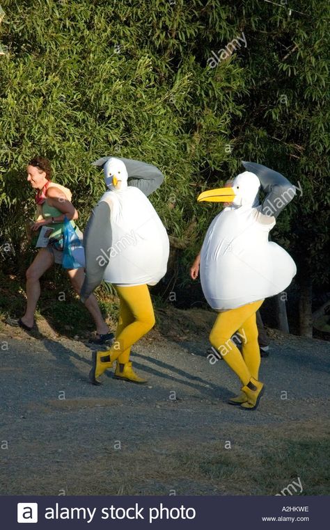 Quirky Costume Ideas, Adult Bird Costume, Silly Goose Costume, Silly Costume Ideas, Quail Costume, Silly Halloween Costumes, Bird Halloween Costume, Silly Costumes, Bird Costumes