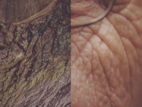 Human Vs Nature By Agnieszka Lepka - IGNANT Skin Photography, Man Vs Nature, Human Photography, Human Body Parts, Everything Is Connected, A Level Art, Human Condition, Human Connection, Human Art