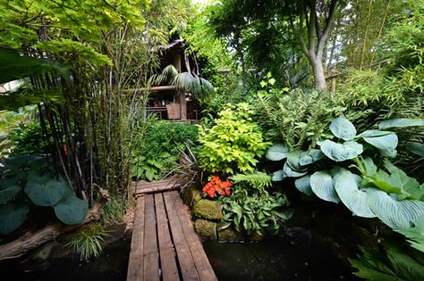 Black bamboo, ferns and hostas at this tropical garden design in the UK Ferns And Hostas, Garden Design Ideas Uk, Toilet Selfie, Tropical Garden Plants, Patio Landscape Design, Garden Ideas Uk, Small Tropical Gardens, Tropical Patio, Tropical Landscape Design