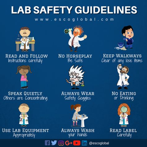 Safety Infographic, Good Laboratory Practice, Microbiology Lab, Lab Safety, Safety Rules, Kids Science, Infection Control, Safety Goggles, Laboratory Science