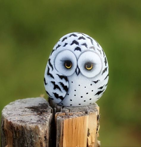 Owl Painted Rocks, Owl Rocks, Stone Pictures Pebble Art, Fall Canvas Painting, Diy Rock Art, Painted Rock Animals, Stone Art Painting, Painted Rocks Craft, Painted Rocks Diy