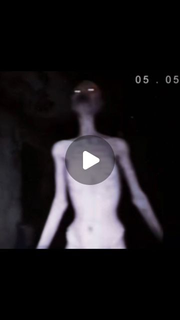 Skinwalker Pictures, Creepy Videos Scary, Scary Videos Paranormal, Very Scary Photos, Horrifying Images, Terrifying Images, Scary Clips, Scary Alien, Skin Walker