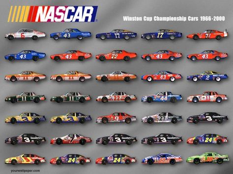 Visual History of the NASCAR Championship 1966-2000 Nascar Wallpaper, 1969 Ford Torino, Nascar Photos, Nascar Champions, Nascar Paint Schemes, Hudson Hornet, Race Car Driving, Dodge Daytona, Nascar Diecast