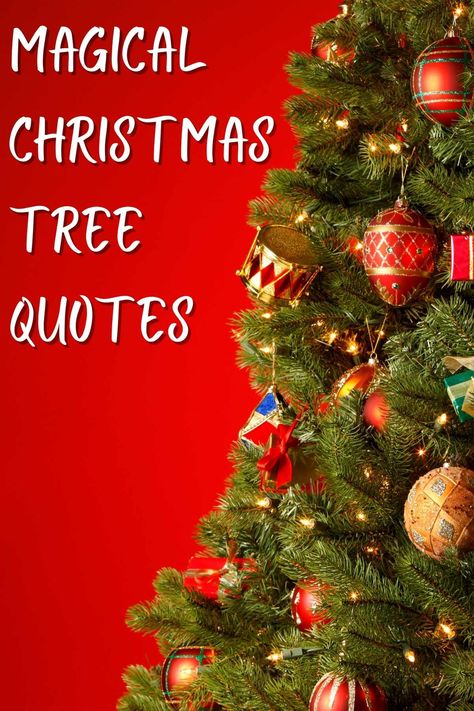 91 Christmas Tree Quotes That Are Festively Short - Darling Quote Lessons From A Christmas Tree, Quotes About Christmas Magic, Christmas Ornament Quotes, Christmas Tree Sayings And Quotes, Christmas Tree Quotes Instagram, Early Christmas Quotes, Christmas Tree Sayings, Christmas Letterboard Quotes, Christmas Tree Poem