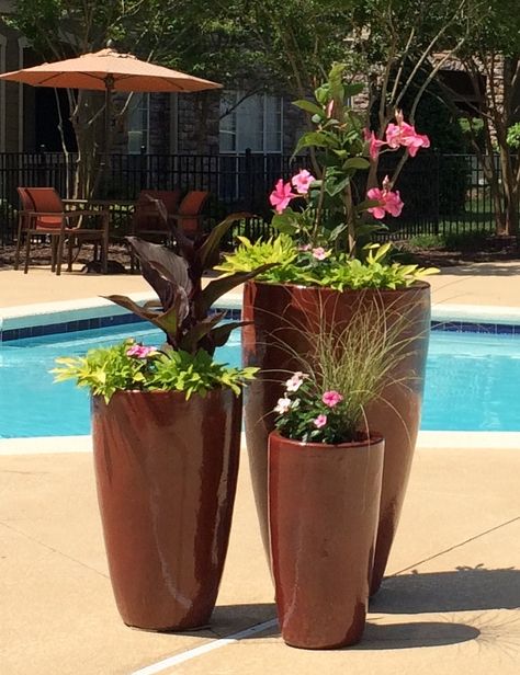 3 Flower Pots Together, Gold Flower Pot, Green Wall Garden, Mandevilla Vine, Front Porch Flower Pots, Colonial Garden, Mediterranean Garden Design, Front Porch Flowers, Poolside Decor