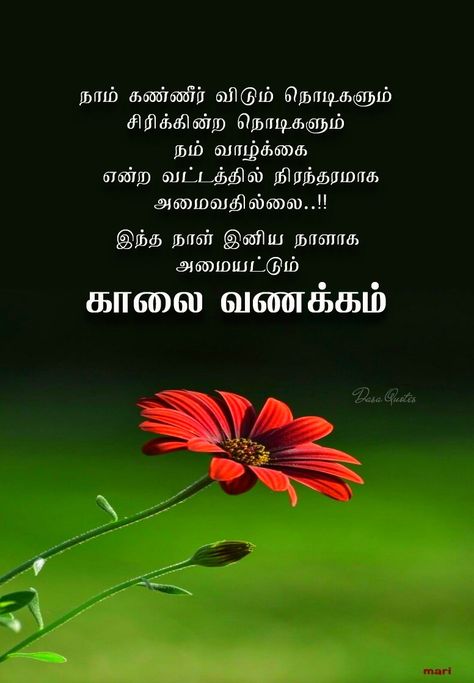 Tamil Wishes, Good Morning, Quotes