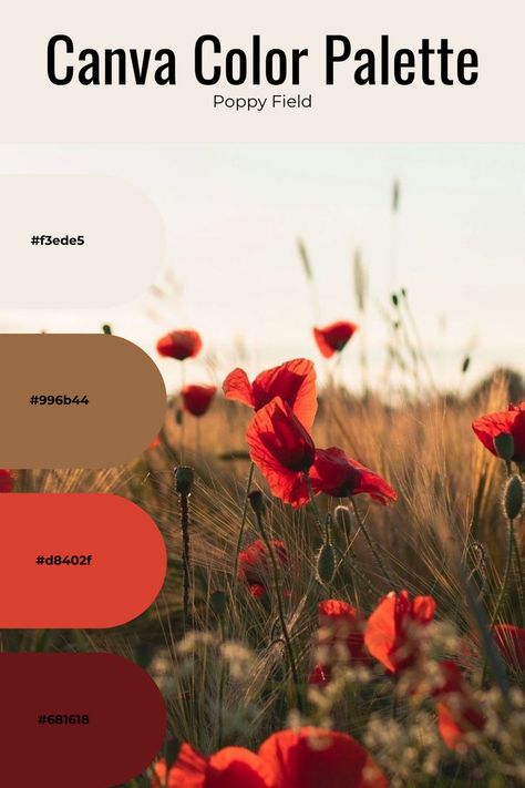 Poppy Color Palette, Red Color Palettes, Canva Color Palette, Poppy Fields, Poppy Color, Red Color Schemes, Red Colour Palette, Hex Codes, Color Codes