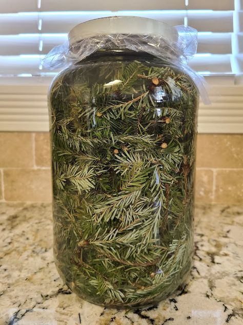 From Evergreen to All-Purpose: Homemade Pine-Sol from Christmas Tree White Vinegar Cleaning, Pine Sol, Infused Vinegars, Homemade Nachos, Christmas Jam, Food Gardening, Diy Cleaning Solution, Homemade Hamburgers, Christmas Tree Branches