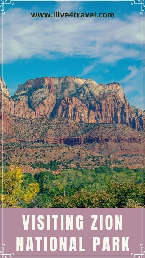 Are you planning on visiting Zion National Park, then find out everything you need to know for your trip to Zion with ilive4travel. Find out the best hikes in Zion, where to stay when visiting Zion and what you will need to wear to visit Zion National Park. Find out when is the best season to visit Zion National Park and the weather to expect. You will find full details on all the things to do in Zion national park #zionnationalpark #northamericatravel #usdestinations State Parks Usa, Narrows Zion National Park, Hiking The Narrows, Utah Vacation, South America Destinations, Utah Road Trip, Zion National Park Utah, Everglades National Park, Road Trip Destinations