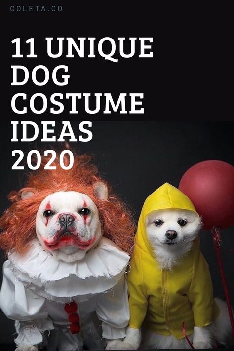 Charlie Brown Halloween Costumes, Dog Costume Ideas, Emoji Costume, Yoda Costume, Mandalorian Costume, Costume Unique, Dog Halloween Costume, Without Judgement, Charlie Brown Halloween