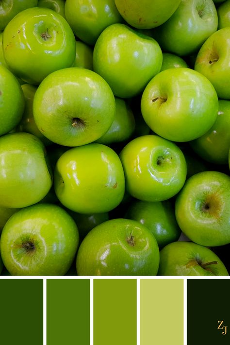 ZJ Colour Palette 212 #colourpalette #colourinspiration Apple Green Color Palette, Apple Color Palette, Color Harmonies, Pantone Palette, Prime Colors, Color Palette Challenge, Monochrome Palette, Green Palette, Apple Coloring