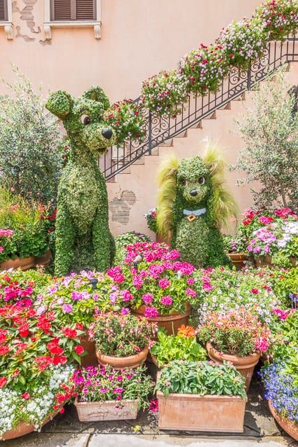 Spring Magic, Disney Garden, Animal Kingdom Lodge, Plain Chicken, Flower Window, Disney Epcot, Garden Festival, Park Pictures, Flower Festival